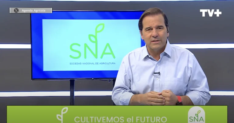 Diplomado en Tecnología e Innovaciones Productivas